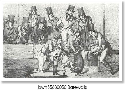 Badger Baiting, London, Circa 1824 by Henry Thomas Alken, Art Print