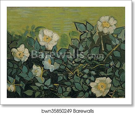 Wild roses by Vincent Van Gogh, Art Print