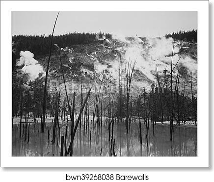 Barren tree trunks rising from water in foreground, stream rising from mountains in background, "Roaring Mountain, Yellowstone National Park," Wyoming.  Photographs of National Parks and Monuments, documenting the period ca. 1933 - 1942 by Ansel Adams (1902-1984), Art Print