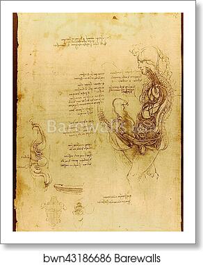 Coition of a Hemisected Man and Woman by Leonardo Da Vinci, Art Print
