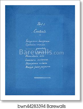 Contents list by Anna Atkins, Art Print