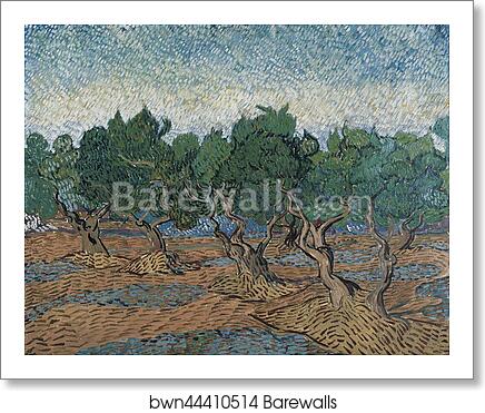 Olive grove by Vincent Van Gogh, Art Print