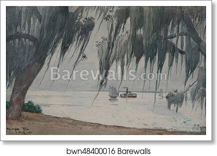 Spanish Moss, Tampa bay, Florida by Winslow Homer, Art Print