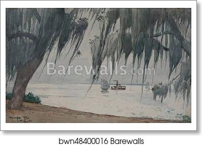 Spanish Moss, Tampa bay, Florida by Winslow Homer, Art Print Spanish Moss, Tampa bay, Florida by Winslow Homer, Art Print