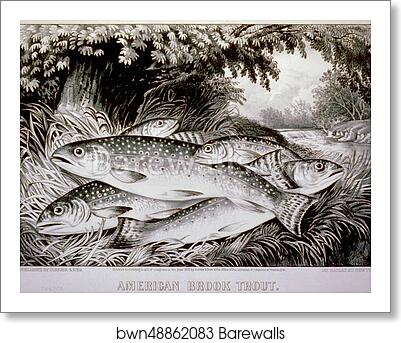 American brook trout. Lithograph by Currier & Ives, Art Print American brook trout. Lithograph by Currier & Ives, Art Print