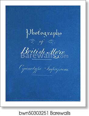 Title page by Anna Atkins, Art Print