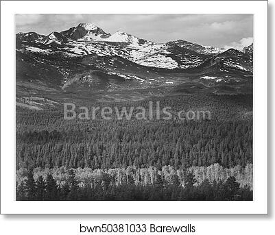 View of trees and snow-capped mountains, "Long's Peak from Road, Rocky Mountain National Park," Colorado. Photographs of National Parks and Monuments, compiled 1941 - 1942, documenting the period ca. 1933 - 1942 by Ansel Adams (1902-1984), Art Print View of trees and snow-capped mountains, "Long's Peak from Road, Rocky Mountain National Park," Colorado. Photographs of National Parks and Monuments, compiled 1941 - 1942, documenting the period ca. 1933 - 1942 by Ansel Adams (1902-1984), Art Print