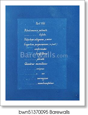 Contents list by Anna Atkins, Art Print