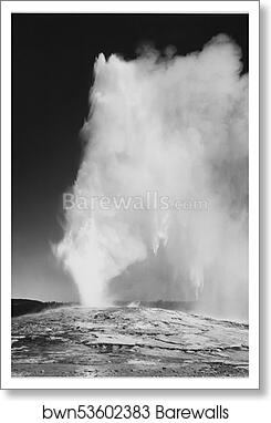 Taken at dusk or dawn from various angles during eruption. "Old Faithful Geyser, Yellowstone National Park," Wyoming. (vertical orientation).  Photographs of National Parks and Monuments, compiled 1941 - 1942, documenting the period ca. 1933 - 1942 by Ansel Adams (1902-1984), Art Print