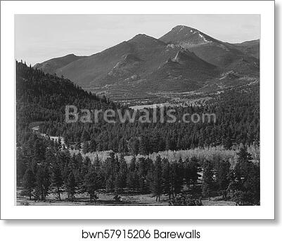 View with trees in foreground, barren mountains in background, "In Rocky Mountain National Park," Colorado. Photographs of National Parks and Monuments, compiled 1941 - 1942, documenting the period ca. 1933 - 1942 by Ansel Adams (1902-1984), Art Print View with trees in foreground, barren mountains in background, "In Rocky Mountain National Park," Colorado. Photographs of National Parks and Monuments, compiled 1941 - 1942, documenting the period ca. 1933 - 1942 by Ansel Adams (1902-1984), Art Print