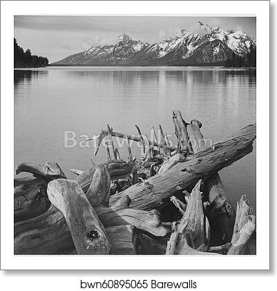Jackson Lake in foreground, with Teton Range in background, view looking southwest from north end of the lake. Grand Teton National Park, Wyoming. Photographs of National Parks and Monuments, compiled 1941 - 1942, documenting the period ca. 1933 - 1942 by Ansel Adams (1902-1984), Art Print Jackson Lake in foreground, with Teton Range in background, view looking southwest from north end of the lake. Grand Teton National Park, Wyoming. Photographs of National Parks and Monuments, compiled 1941 - 1942, documenting the period ca. 1933 - 1942 by Ansel Adams (1902-1984), Art Print