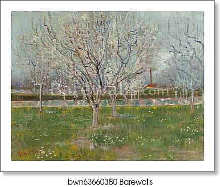 Orchard in Blossom (Plum Trees) by Vincent Van Gogh, Art Print Orchard in Blossom (Plum Trees) by Vincent Van Gogh, Art Print
