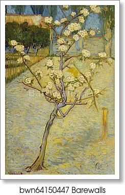 Small pear tree in blossom by Vincent Van Gogh, Art Print