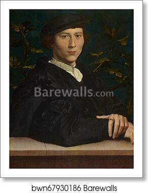 Derich Born (1510?-49) by Hans Holbein The Younger, Art Print Derich Born (1510?-49) by Hans Holbein The Younger, Art Print