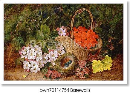 Basket of Primula Flowers and a Bird's Nest by George Clare, Art Print