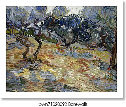 Olive Trees by Vincent Van Gogh, Art Print