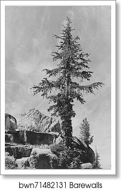An Unnamed peak, Kings River Canyon (Proposed as a national park), California, 1936. (vertical orientation).  Photographs of National Parks and Monuments, compiled 1941 - 1942, documenting the period ca. 1933 - 1942 by Ansel Adams (1902-1984), Art Print