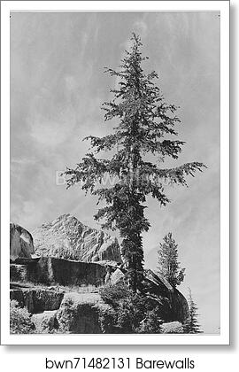 An Unnamed peak, Kings River Canyon (Proposed as a national park), California, 1936. (vertical orientation). Photographs of National Parks and Monuments, compiled 1941 - 1942, documenting the period ca. 1933 - 1942 by Ansel Adams (1902-1984), Art Print An Unnamed peak, Kings River Canyon (Proposed as a national park), California, 1936. (vertical orientation). Photographs of National Parks and Monuments, compiled 1941 - 1942, documenting the period ca. 1933 - 1942 by Ansel Adams (1902-1984), Art Print