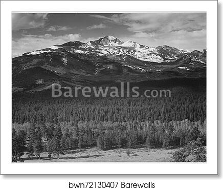 Trees in foreground, snow covered mountain in background, "Long's Peak from North, Rocky Mountain National Park," Colorado.  Photographs of National Parks and Monuments, compiled 1941 - 1942, documenting the period ca. 1933 - 1942 by Ansel Adams (1902-1984), Art Print