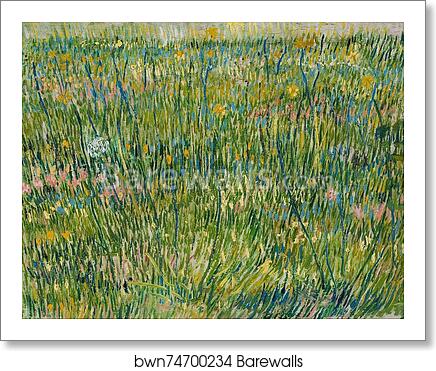 Grasgrond Patch of grass by Vincent Van Gogh, Art Print
