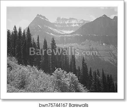 Trees and bushes in foreground, mountains in background, "In Glacier National Park," Montana.  Photographs of National Parks and Monuments, compiled 1941 - 1942, documenting the period ca. 1933 - 1942 by Ansel Adams (1902-1984), Art Print
