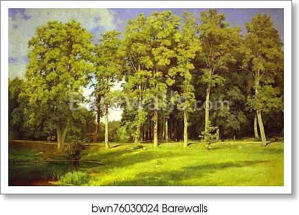 Grove by the Pond. Preobrazhenskoye by Ivan Shishkin, Art Print Grove by the Pond. Preobrazhenskoye by Ivan Shishkin, Art Print