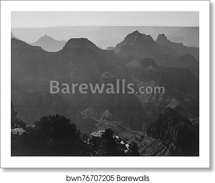View with shrub detail in foreground, "Grand Canyon National Park," Arizona.  Photographs of National Parks and Monuments, compiled 1941 - 1942, documenting the period ca. 1933 - 1942 by Ansel Adams (1902-1984), Art Print