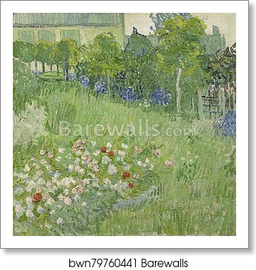 Daubigny's garden by Vincent Van Gogh, Art Print