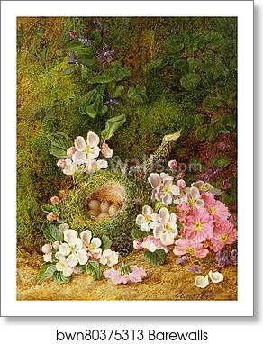 Still Life of Flowers and Bird's Nest by George Clare, Art Print