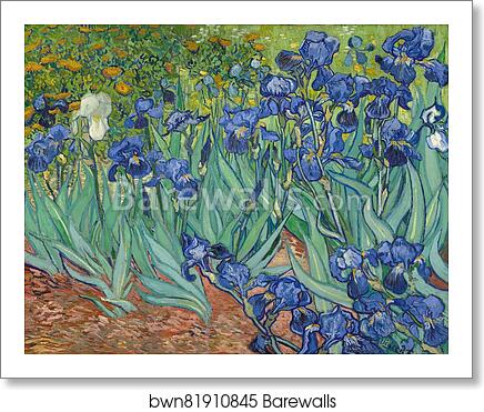 Irises by Vincent Van Gogh, Art Print