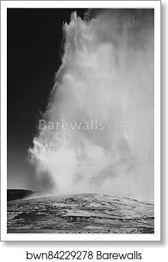Taken at dusk or dawn from various angles during eruption. "Old Faithful Geyser, Yellowstone National Park," Wyoming. (vertical orientation).  Photographs of National Parks and Monuments, compiled 1941 - 1942, documenting the period ca. 1933 - 1942 by Ansel Adams (1902-1984), Art Print