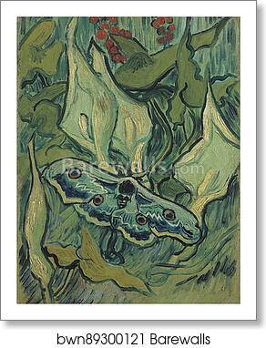 Emperor moth by Vincent Van Gogh, Art Print