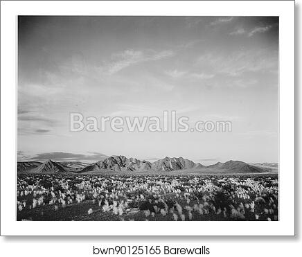 Distant view of mountains, desert, shrubs highlighted in foreground, "Near Death Valley National Monument," California.  Photographs of National Parks and Monuments, compiled 1941 - 1942, documenting the period ca. 1933 - 1942 by Ansel Adams (1902-1984), Art Print