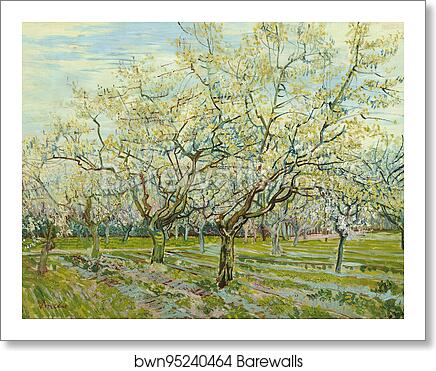 The white orchard by Vincent Van Gogh, Art Print