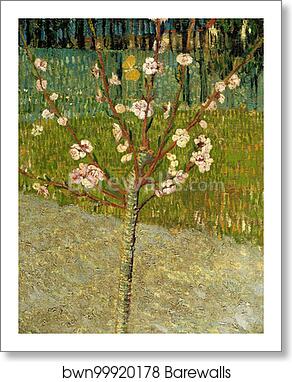 Almond tree in blossom by Vincent Van Gogh, Art Print