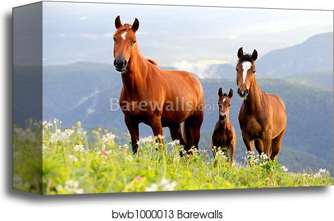 Three lovely horses by Alexey Zobov, Canvas Print