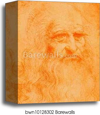 Self-Portrait by Leonardo Da Vinci, Canvas Print