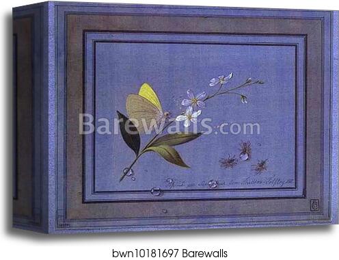 Flower, Butterfly and Flies by Count Feodor Tolstoy, Canvas Print