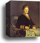 Portrait of Juan Antonio Cuervo by Francisco De Goya Y Lucientes, Canvas Print