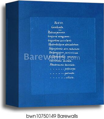 Contents list by Anna Atkins, Canvas Print