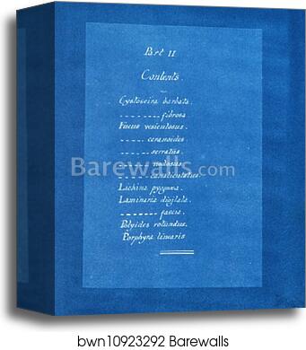 Contents list by Anna Atkins, Canvas Print