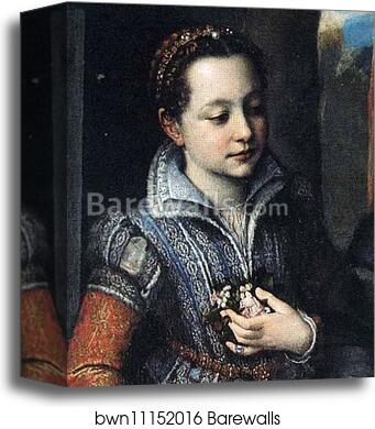 Portrait of Amilcare, Minerva and Asdrubale Anguissola. Detail by Sofonisba Anguissola, Canvas Print
