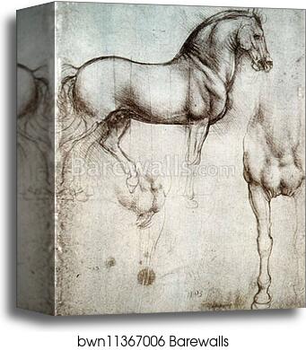 Study of horses by Leonardo Da Vinci, Canvas Print