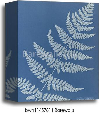 Lastrea dilatato, British by Anna Atkins, Canvas Print