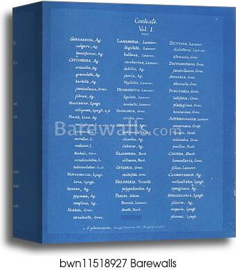 Contents [page 1] by Anna Atkins, Canvas Print