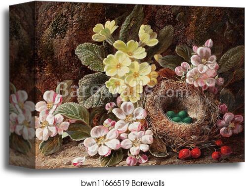 Apple Blossom, Primroses and Bird's Nest by George Clare, Canvas Print