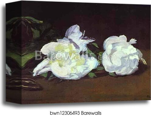 Branch of White Peonies and Shears by Edouard Manet, Canvas Print Branch of White Peonies and Shears by Edouard Manet, Canvas Print