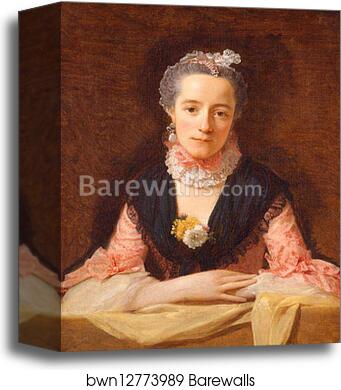 Lady in a Pink Silk Dress by Allan Ramsay, Canvas Print