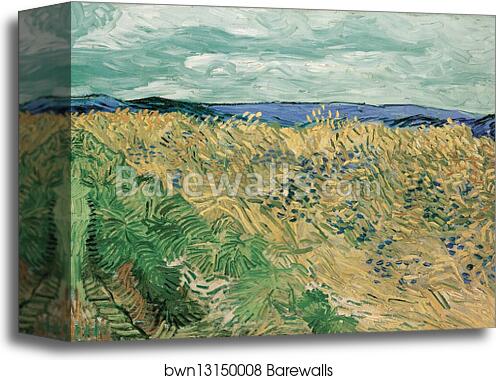 Wheatfield With Cornflowers by Vincent Van Gogh, Canvas Print