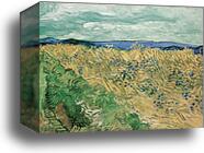 Wheatfield With Cornflowers by Vincent Van Gogh, Canvas Print